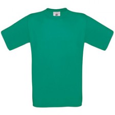 Pacific Green (vert)