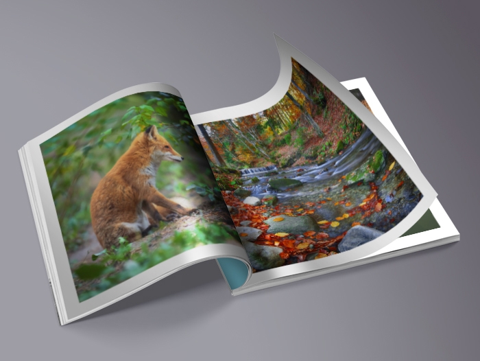 Impression Livre photo couverture souple